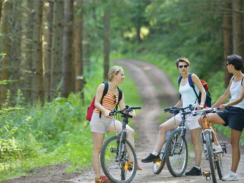COMMUNAUTE DE COMMUNES D'ALSACE-BOSSUE - 2009 - Parcours vélo - 56 km à travers une vingtaine de villages, en partenariat avec le PNR des Vosges du Nord, l’ONF et l’ADT Bas-Rhin – Disponible en location à l’OT en FR, EN, DE
Disponible sur IPhone depuis 2012